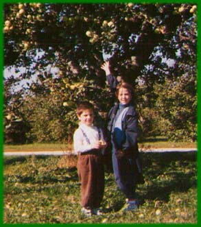 ../dir_older_pictures/PIC_kin' Apples